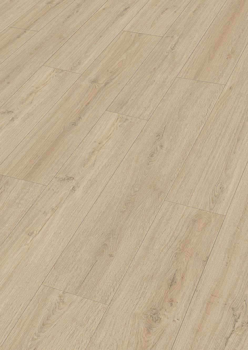 7122 MeisterDesign DD Perspektive-low